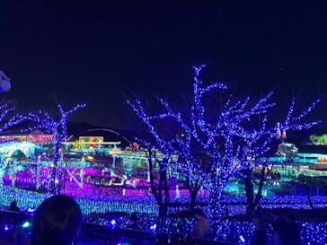 よみうりランド 遊園地に投稿された画像（2020/12/22）