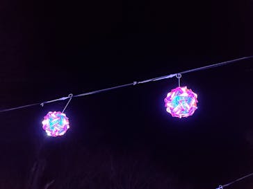 伊豆ぐらんぱる公園に投稿された画像（2020/12/22）