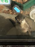 しろとり動物園に投稿された画像（2020/12/23）