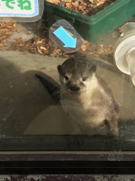 しろとり動物園に投稿された画像（2020/12/23）