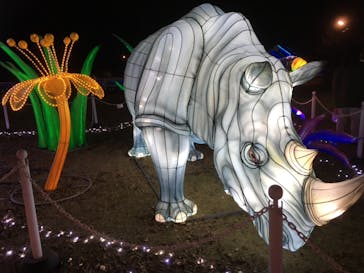 東武動物公園に投稿された画像（2020/12/23）