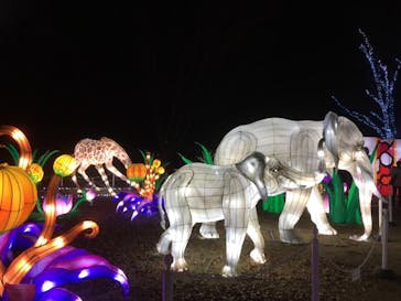 東武動物公園に投稿された画像（2020/12/23）