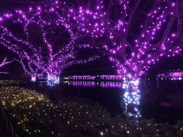 東武動物公園に投稿された画像（2020/12/23）