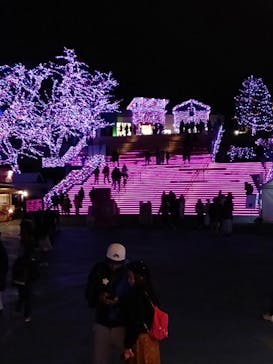 よみうりランド 遊園地に投稿された画像（2020/12/23）