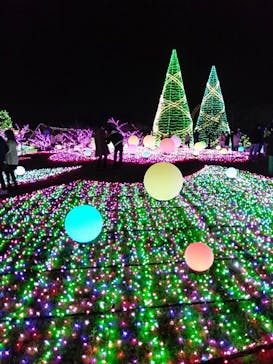 よみうりランド 遊園地に投稿された画像（2020/12/23）