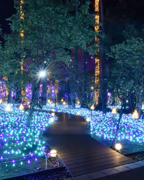 江の島シーキャンドルに投稿された画像（2020/12/23）