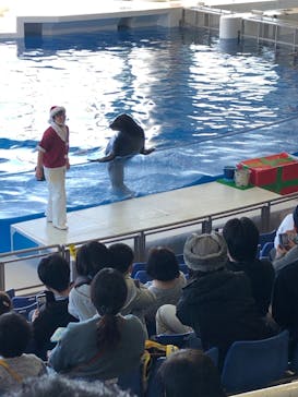 アクアワールド茨城県大洗水族館に投稿された画像（2020/12/23）