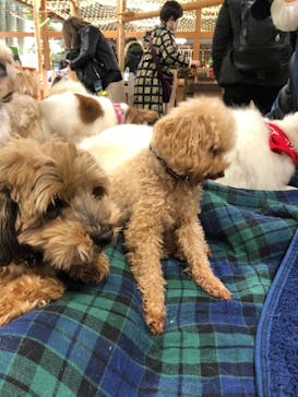 神戸どうぶつ王国に投稿された画像（2020/12/23）