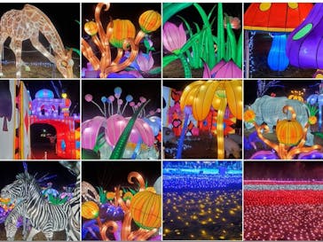 東武動物公園に投稿された画像（2020/12/23）