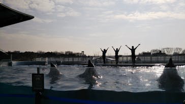 京都水族館に投稿された画像（2020/12/23）