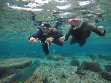 武藤潜水に投稿された画像（2020/12/23）