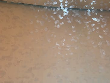 アクアワールド茨城県大洗水族館に投稿された画像（2020/12/23）