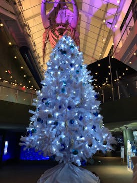 アクアワールド茨城県大洗水族館に投稿された画像（2020/12/23）