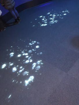 アクアワールド茨城県大洗水族館に投稿された画像（2020/12/23）