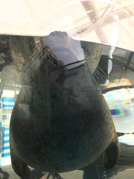 京都水族館に投稿された画像（2020/12/23）