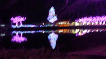 東武動物公園に投稿された画像（2020/12/23）