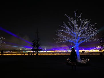 東京メガイルミに投稿された画像（2020/12/23）