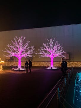 東京メガイルミに投稿された画像（2020/12/23）