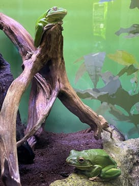 サンシャイン水族館に投稿された画像（2020/12/23）