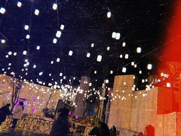 ひらかたパークに投稿された画像（2020/12/23）