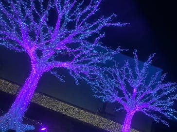 東京メガイルミに投稿された画像（2020/12/23）