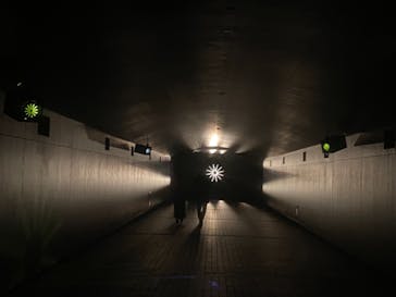 東京メガイルミに投稿された画像（2020/12/23）