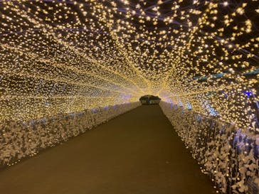 東京メガイルミに投稿された画像（2020/12/23）