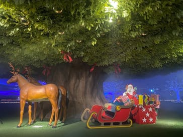 東京メガイルミに投稿された画像（2020/12/23）