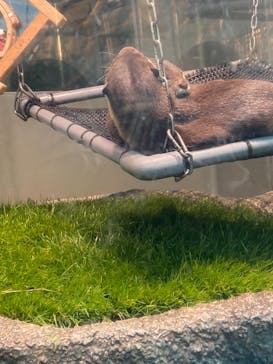 サンシャイン水族館に投稿された画像（2020/12/23）