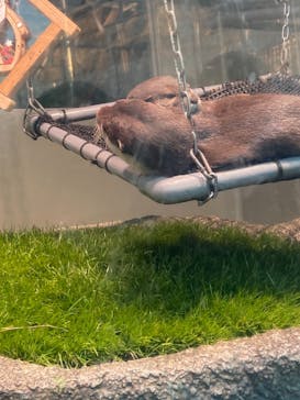 サンシャイン水族館に投稿された画像（2020/12/23）