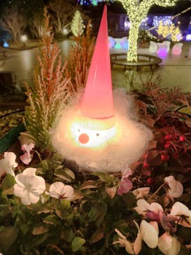 安城産業文化公園デンパークに投稿された画像（2020/12/23）