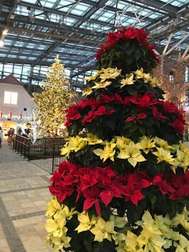 安城産業文化公園デンパークに投稿された画像（2020/12/23）