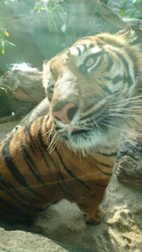 神戸どうぶつ王国に投稿された画像（2020/12/23）