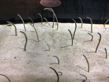 すみだ水族館に投稿された画像（2020/12/23）