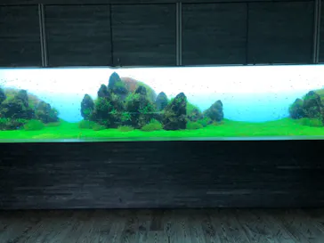 すみだ水族館に投稿された画像（2020/12/23）