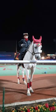 東京メガイルミに投稿された画像（2020/12/23）