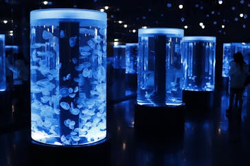 マクセル アクアパーク品川に投稿された画像（2020/12/23）