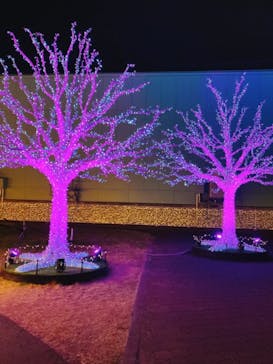 東京メガイルミに投稿された画像（2020/12/23）