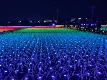 東京メガイルミに投稿された画像（2020/12/23）