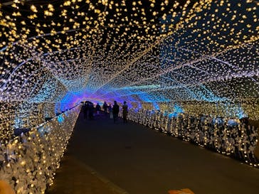 東京メガイルミに投稿された画像（2020/12/23）