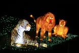 東武動物公園に投稿された画像（2020/12/23）