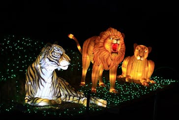 東武動物公園に投稿された画像（2020/12/23）