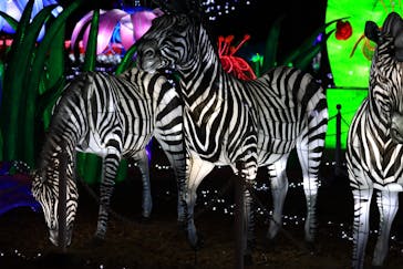 東武動物公園に投稿された画像（2020/12/23）