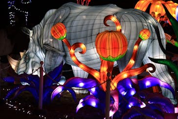 東武動物公園に投稿された画像（2020/12/23）