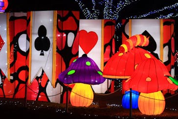 東武動物公園に投稿された画像（2020/12/23）