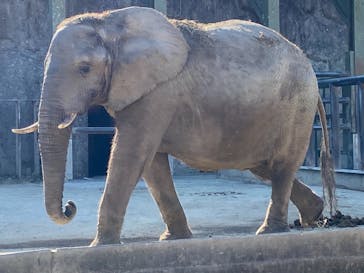 東武動物公園に投稿された画像（2020/12/23）