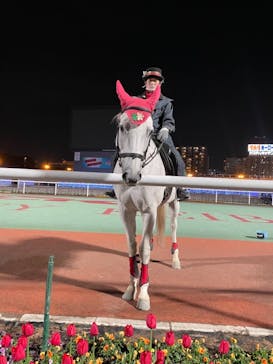 東京メガイルミに投稿された画像（2020/12/23）