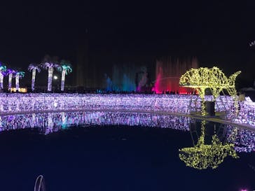 よみうりランド 遊園地に投稿された画像（2020/12/23）