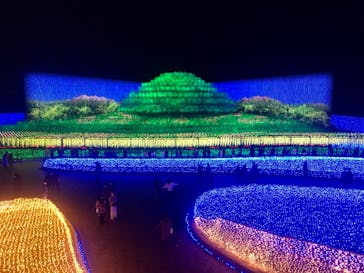 なばなの里に投稿された画像（2020/12/23）