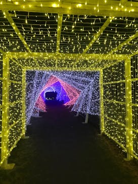 KYOTO ILLUMINATION SYNESTHESIA HILLS るり渓温泉に投稿された画像（2020/12/23）